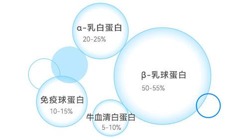 乳清蛋白成分示意图